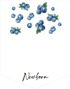 Birthday Monthly Photo Banner Blueberry Watercolor 0399 design preview