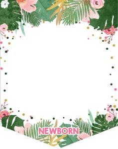 Monthly Birthday Banner Safari Girl 0332 design preview