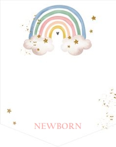 Birthday Monthly Photo Banner Rainbow Colored 0387 design preview