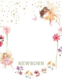 Birthday Monthly Photo Banner Fairy Forest 0406 design preview