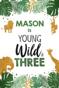Capri Sun Label Gold Safari Animals White Boy Wild Three 0016 design preview