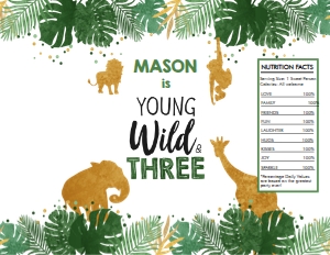 Chip Bag Safari Animals Boy Young Wild and Three 0016 design preview