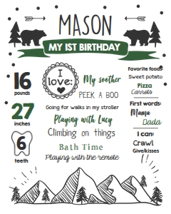 Birthday Milestones Sign Wild Adventure Hunter Green 0083 design preview