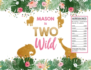 Chip Bag Safari Animals Girl Two Wild 0016 design preview