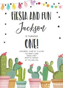 Birthday Invitation Cactus Birthday Fiesta and Fun 0254 design preview