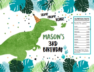 Chip Bag Dinosaurs Blue Green White 0389 design preview