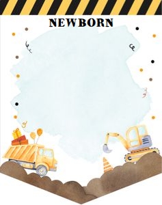 Birthday Monthly Photo Banner Construction 0374 design preview