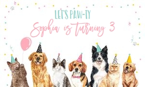 Backdrop Banner Cats and Dogs White 0384 design preview