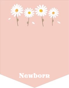 Birthday Monthly Photo Banner Daisy Pink V2 0410 design preview