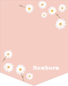 Birthday Monthly Photo Banner Daisy Pink 0410 design preview