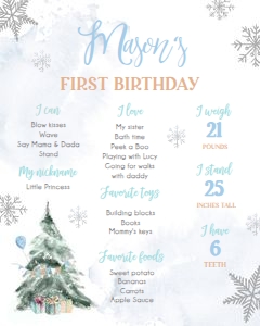 Birthday Milestone Sign Winter Tree Watercolor Blue 0363 design preview