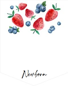 Birthday Monthly Photo Banner Blueberry Strawberry Watercolor 0399 design preview