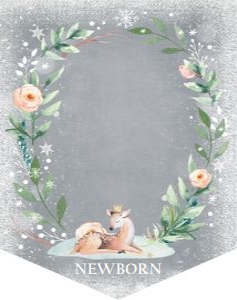 Birthday Monthly Photo Banner Winter Onederland Deer Grey 0265 design preview
