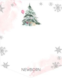 Birthday Monthly Photo Banner Winter Tree Pink 0363 design preview