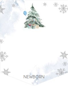 Birthday Monthly Photo Banner Winter Tree Blue 0363 design preview