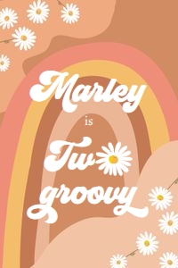 Capri Sun Label Birthday Two Groovy 0428 design preview