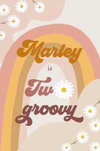 Capri Sun Label Birthday Two Groovy Light 0428 design preview