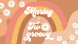 Gable Box Retro Two Groovy 0428 design preview