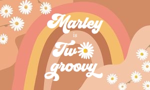Backdrop Banner Retro Daisy Two Groovy 0428 design preview