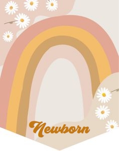 Birthday Monthly Photo Banner Daisy Retro Light 0428 design preview