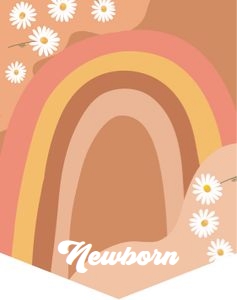 Birthday Monthly Photo Banner Daisy Retro 0428 design preview