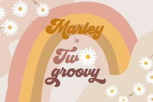 Backdrop Banner Retro Daisy Two Groovy Light 0428 design preview
