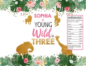 Chip Bag Safari Animals Girl Young Wild and Three 0016 design preview