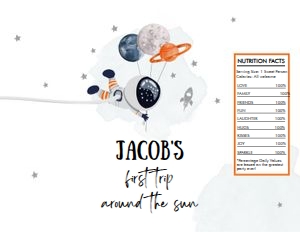 Chip Bag Outer Space Astronaut Orange Boy First Trip 0366 design preview