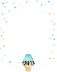 Birthday Monthly Photo Banner Ice Cream Blue Mint Yellow 0243 design preview