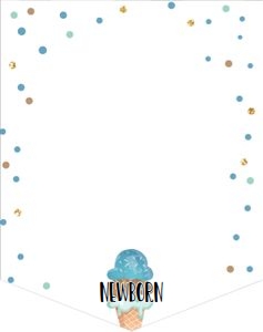 Birthday Monthly Photo Banner Ice Cream Brown Blue 0243 design preview