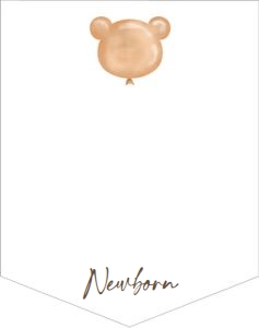 Birthday Monthly Photo Banner Bear Balloon 0439 design preview