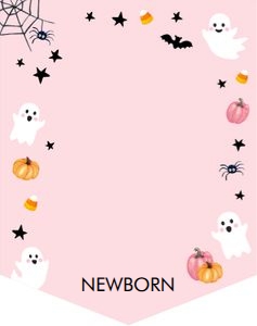 Birthday Monthly Photo Banner White Ghost Pink 0418 design preview
