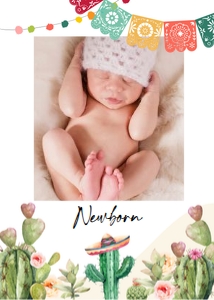 Monthly Banner Fiesta 5x7 0404 design preview