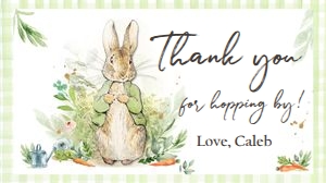 Gift Box Label Peter Rabbit Green Border 0351 design preview