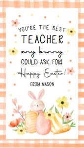 Favor Tag Best Teacher Any Bunny Gingham Orange Watercolor 0449 design preview