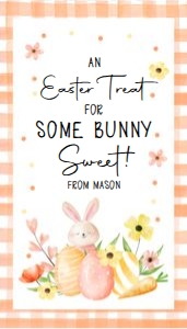 Favor Tag Easter Treat Gingham Orange Watercolor 0449 design preview