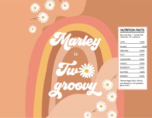 Chip Bag Label Two Groovy Retro 0428 design preview