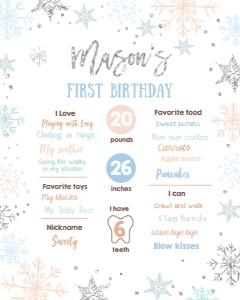 Birthday Milestone Sign Winter Onederland Snowflakes Boy 0256 design preview