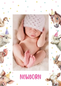 Monthly Banner Farm Animals 5x7 0448 design preview