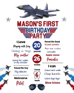 Milestone Sign Fighter Pilot 0469 design preview