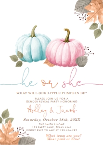 Gender Reveal Invitation Pumpkin He or She Blue Pink 0489 design preview