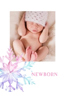 Monthly Banner Snowflake Pink Purple 5x7 0494 design preview