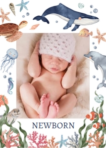 Monthly Photo Banner Under the Sea 5x7 0504 design preview
