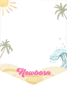 Birthday Monthly Photo Banner Surf Girl 0433 design preview