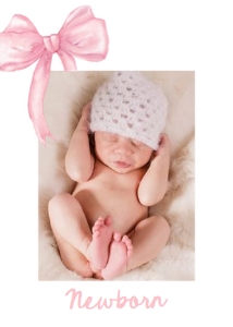 Monthly Banner Pink Bow 0527 design preview