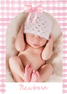 Monthly Banner Pink Bow 0527 Gingham design preview