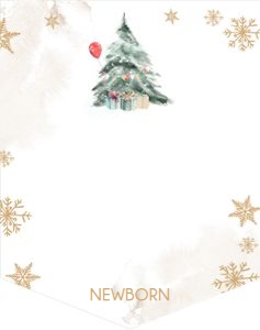 Birthday Monthly Photo Banner Winter Tree Red Gold 0363 design preview