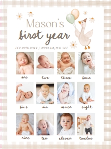 Birthday 12 Months Photo Board Goose Neutral 0540 design preview