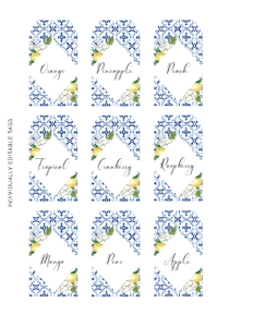 MED-BLU-6-B1005 - THE MED - LEMONS - JUICE TAGS - LETTER: MED-BLU-7-B1004 - THE MED - LEMONS - MIMOSA BAR SIGN