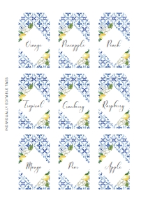 MED-BLU-6-B1005 - THE MED - LEMONS - JUICE TAGS - A4: MED-BLU-7-B1004 - THE MED - LEMONS - MIMOSA BAR SIGN